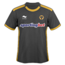 Wolverhampton Wanderers Away icon